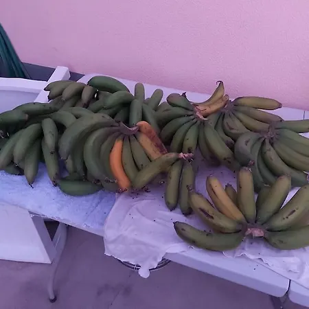 公寓 House In Camara De Lobos *