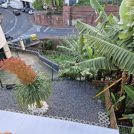 House In Camara De Lobos *