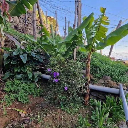 Апартаменты House In Camara De Lobos Эстрейто-де-Камара-ди-Лобуш