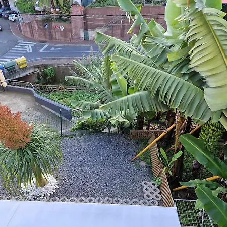 House In Camara De Lobos Апартаменты Эстрейто-де-Камара-ди-Лобуш