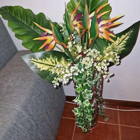 House In Camara De Lobos Эстрейто-де-Камара-ди-Лобуш