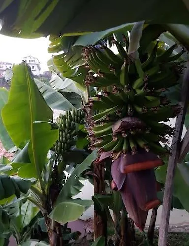 House In Camara De Lobos Appartamento Estreito de Câmara de Lobos