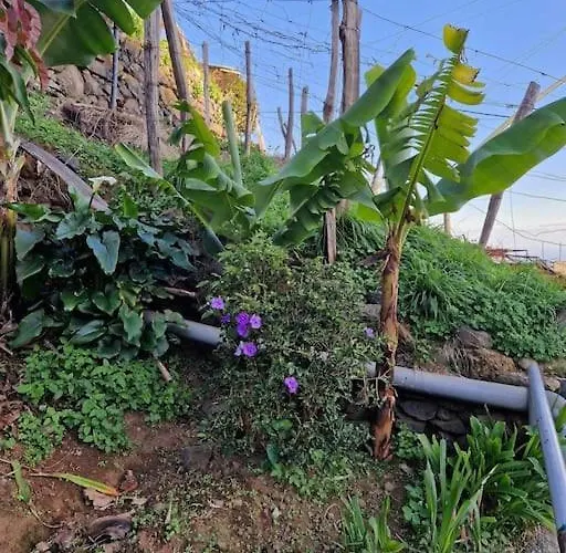 Appartamento House In Camara De Lobos Estreito de Câmara de Lobos
