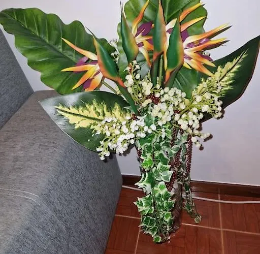 House In Camara De Lobos Estreito de Câmara de Lobos