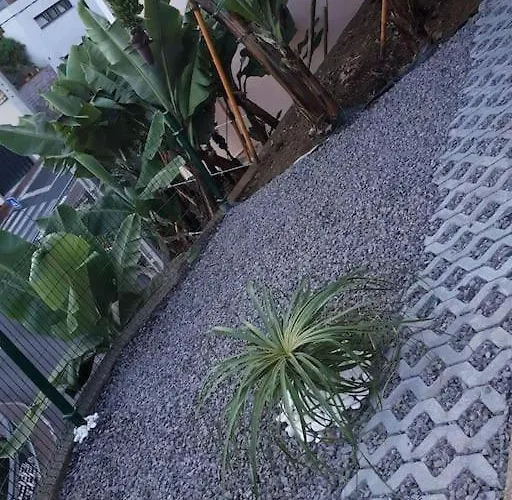 House In Camara De Lobos Appartamento Estreito de Câmara de Lobos